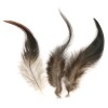 Dekorační peří - kohoutí, hnědé 10-15 cm, 3g