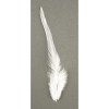 Peří Trendy - bílé, 10-15 cm, 2g