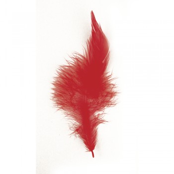 Peří Trendy - červené, 10-15 cm, 2g